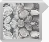 > </div>
<div class=